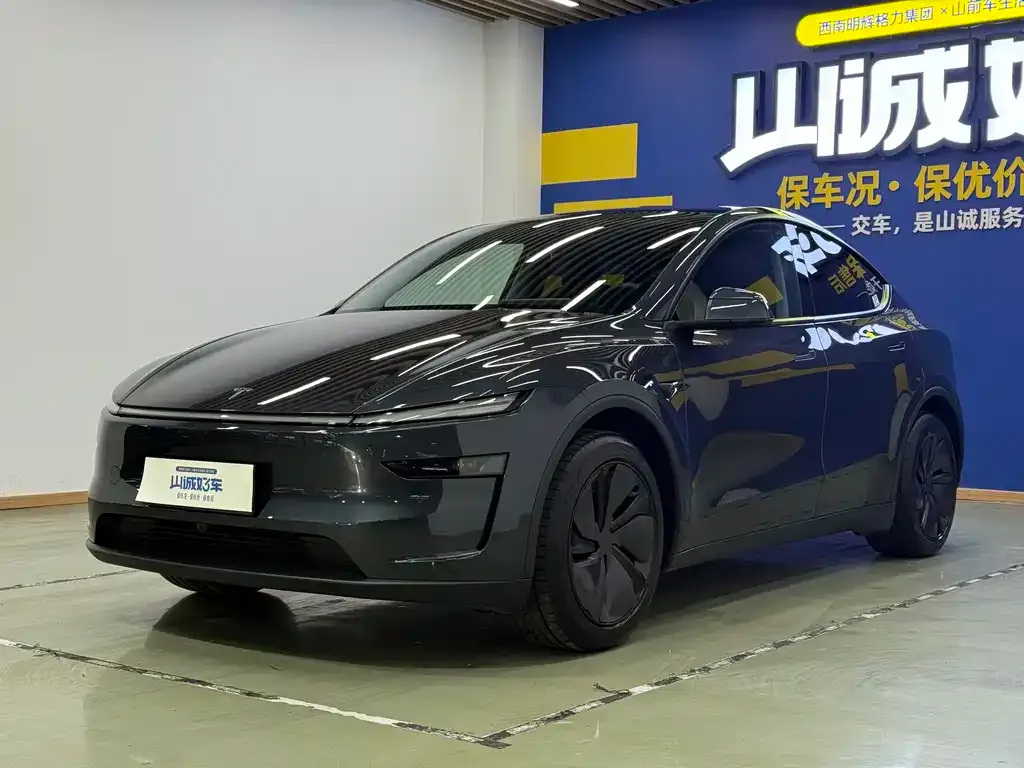 Tesla Model Y 2025 из CN, фото 1