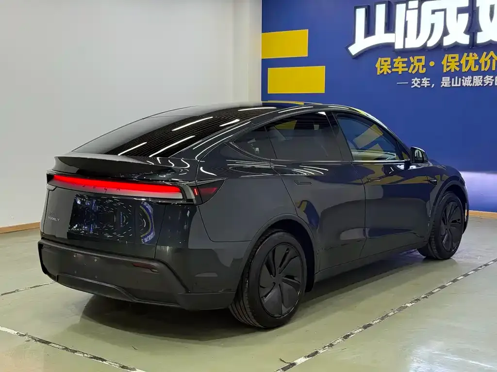 Tesla Model Y 2025 из CN, фото 4