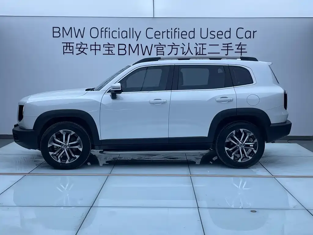Haval Big Dog 2023 из CN, фото 6