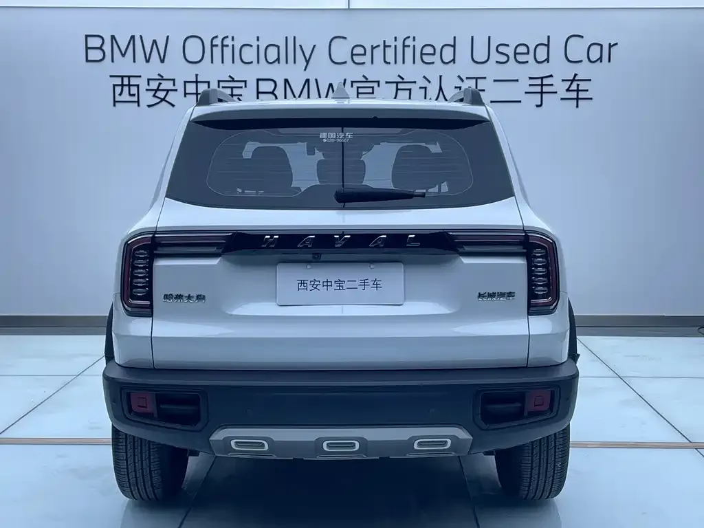 Haval Big Dog 2023 из CN, фото 3