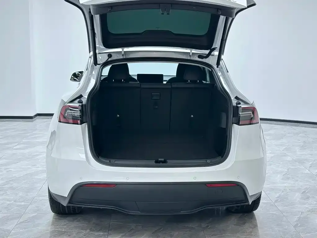 Tesla Model Y 2023 из CN, фото 5