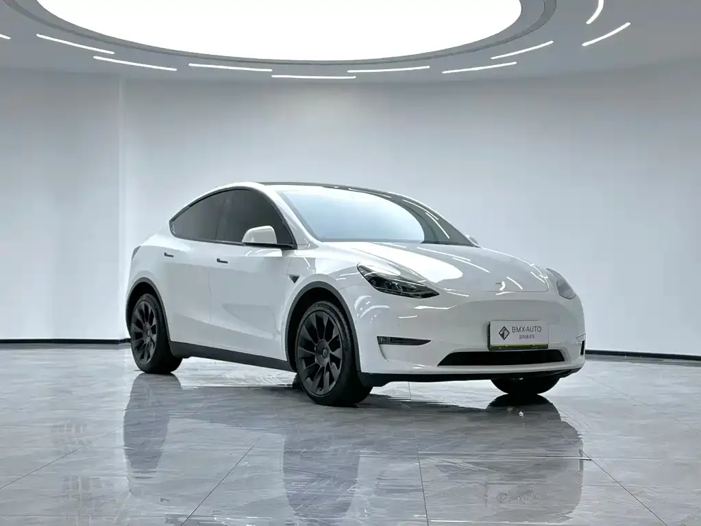 Tesla Model Y 2023 из CN, фото 6