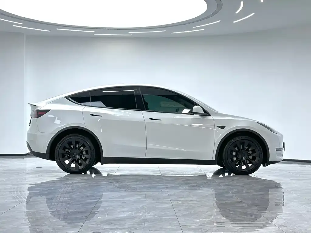 Tesla Model Y 2023 из CN, фото 9