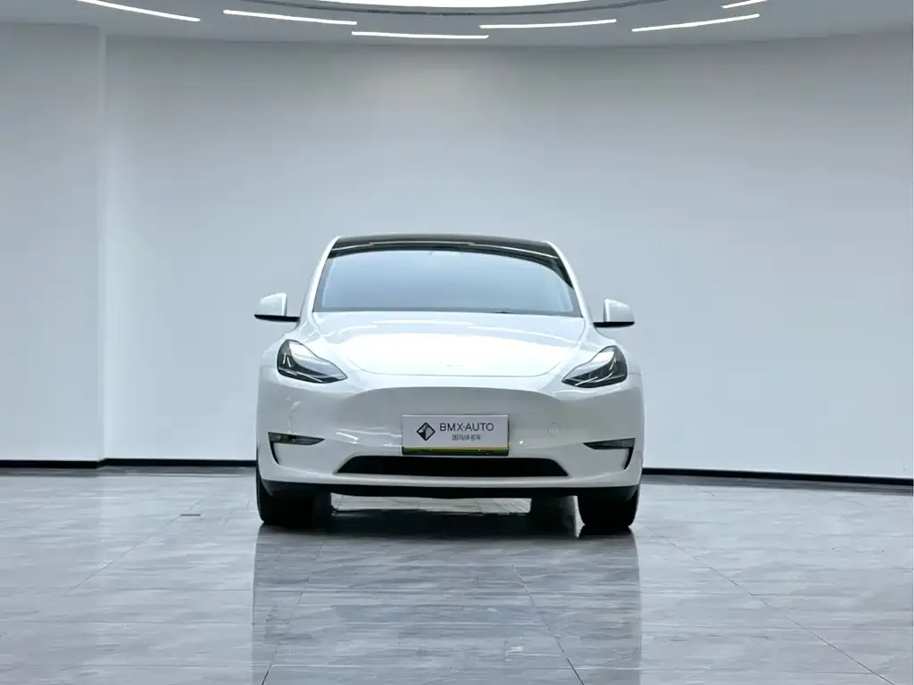 Tesla Model Y 2023 из CN, фото 3