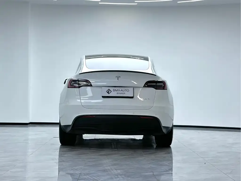 Tesla Model Y 2023 из CN, фото 4
