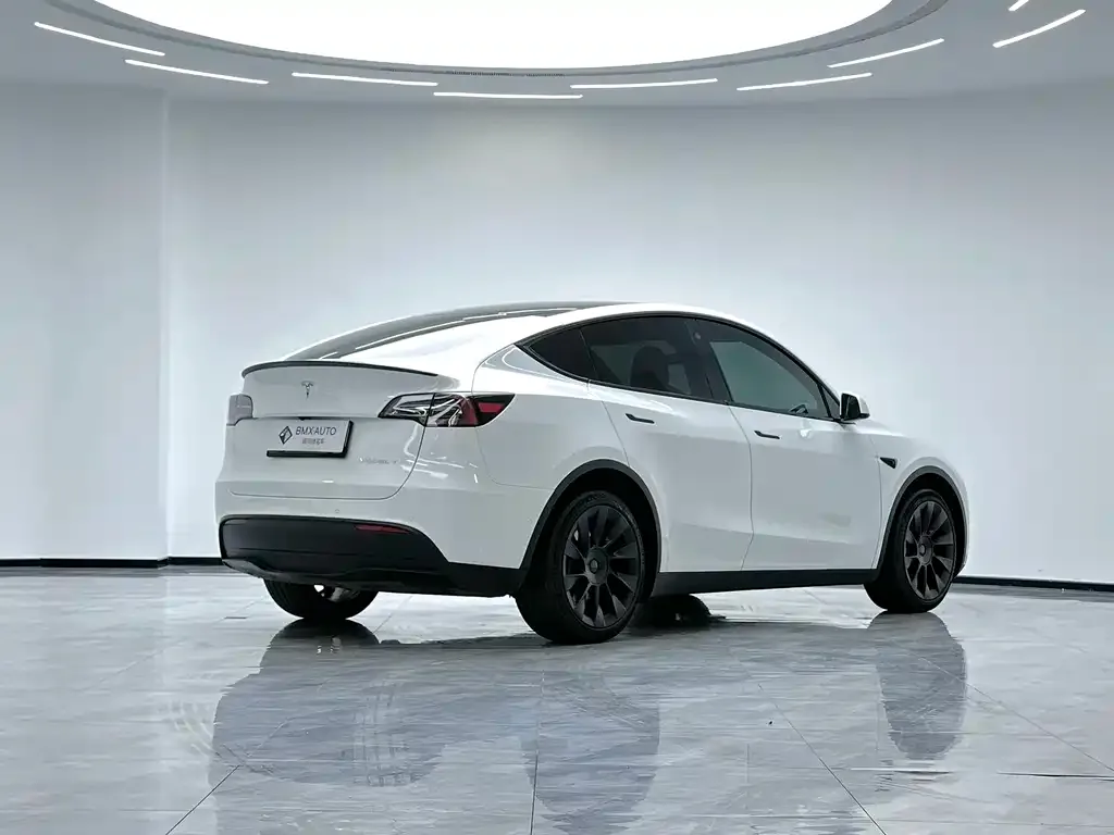 Tesla Model Y 2023 из CN, фото 8