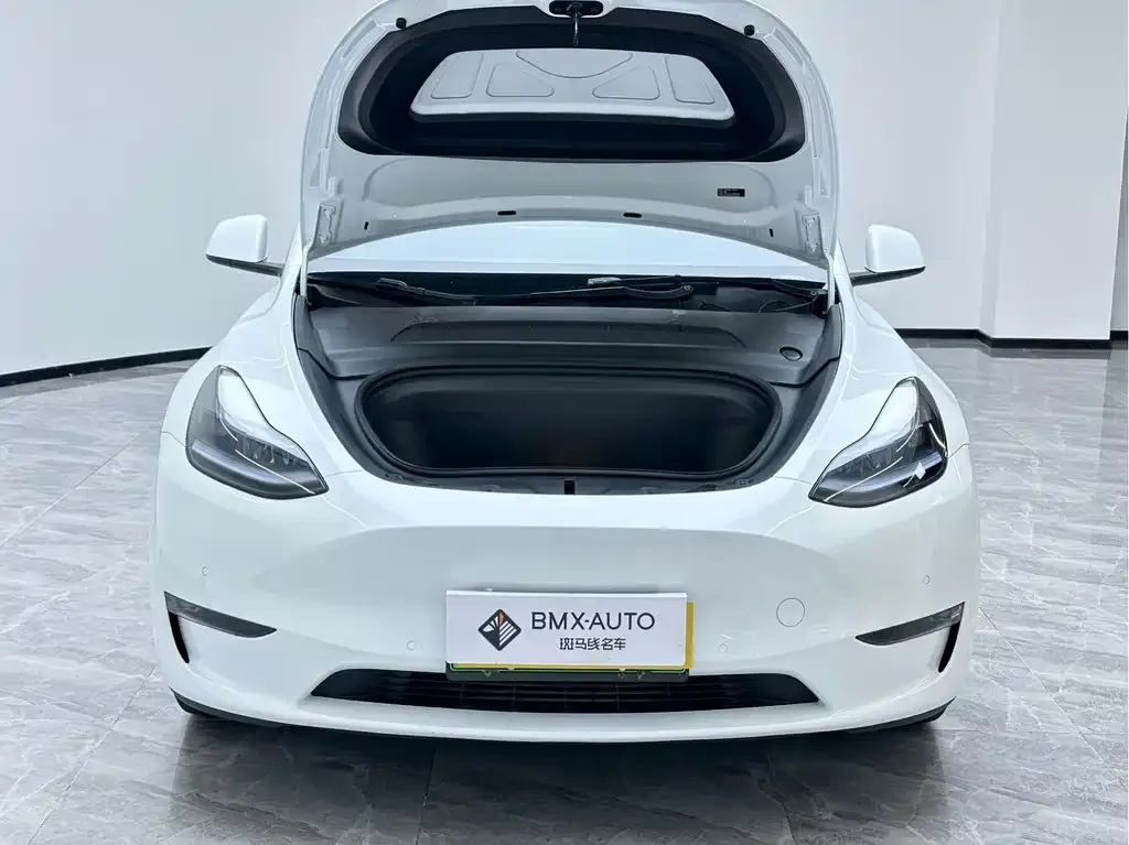 Tesla Model Y 2023 из CN, фото 10