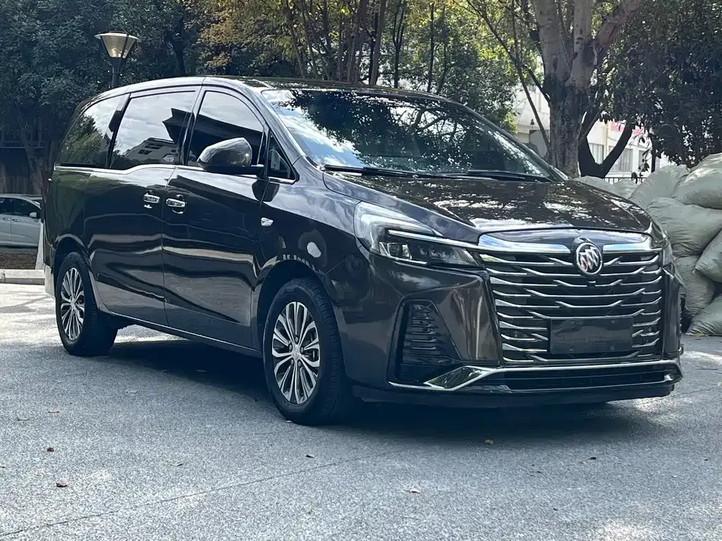 Buick GL8 2021 из CN, фото 10