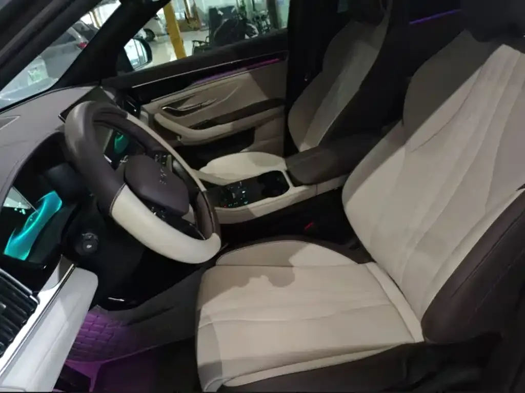 BYD PLUS New Energy 2025 из CN, фото 3