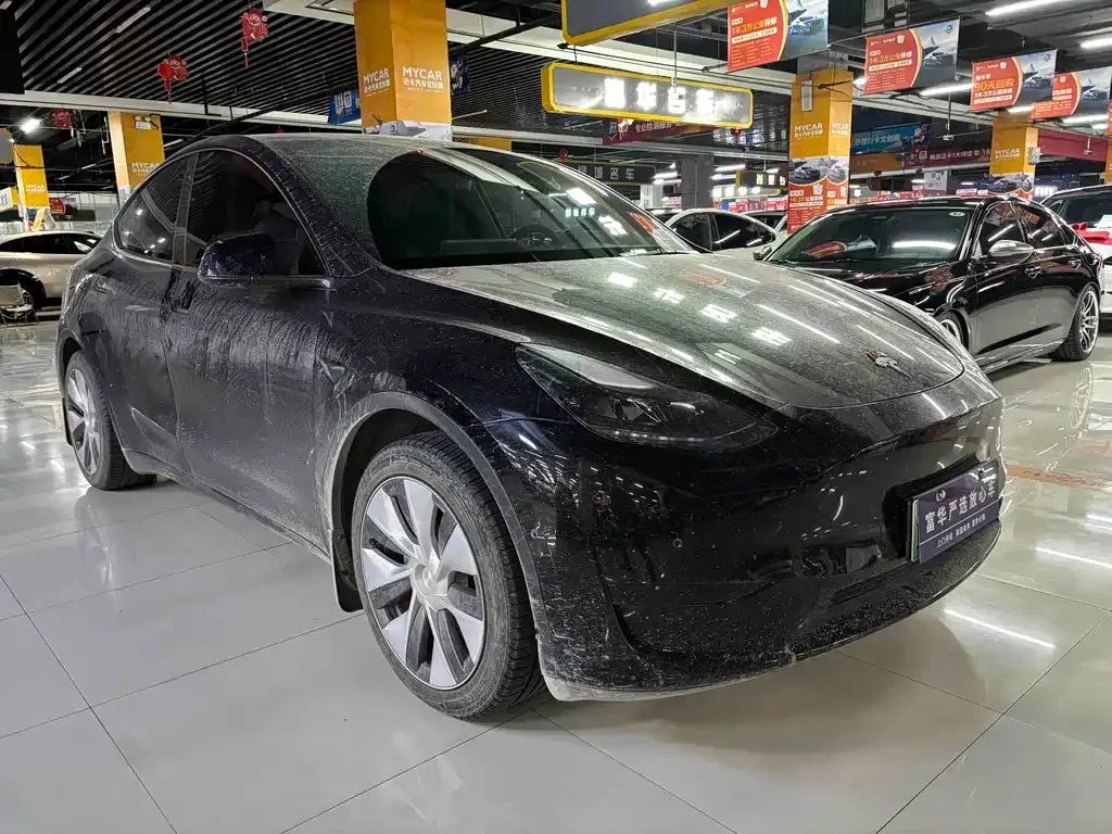 Tesla Model Y 2022 из CN, фото 6