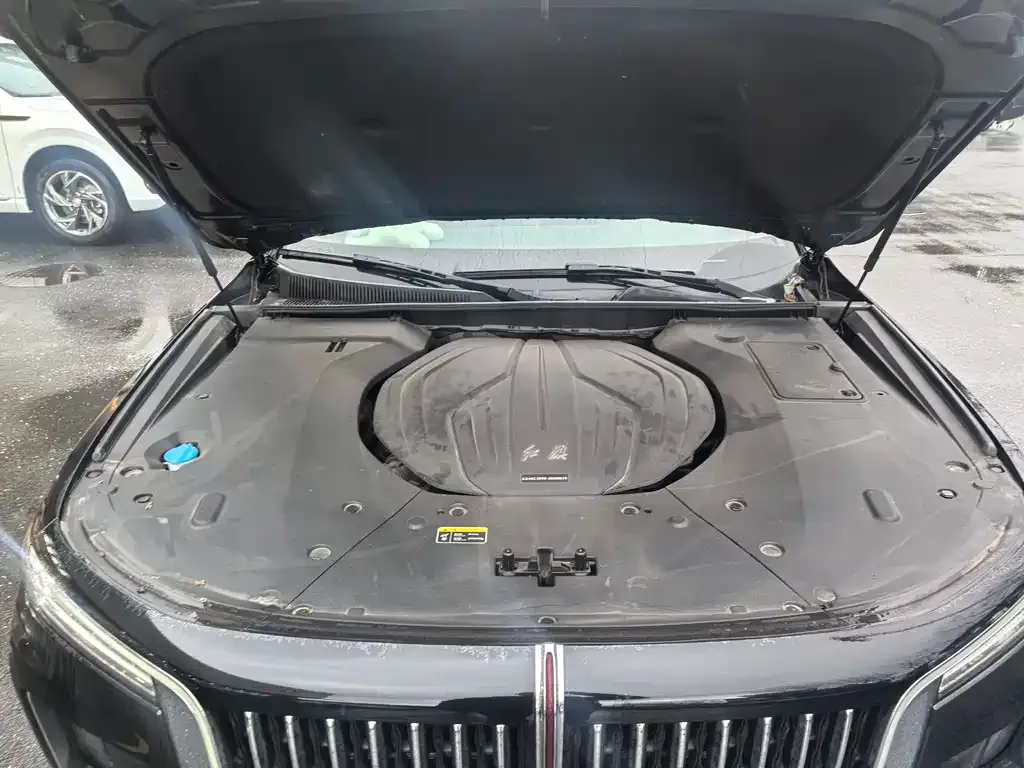 Hongqi H9 2022 из CN, фото 8