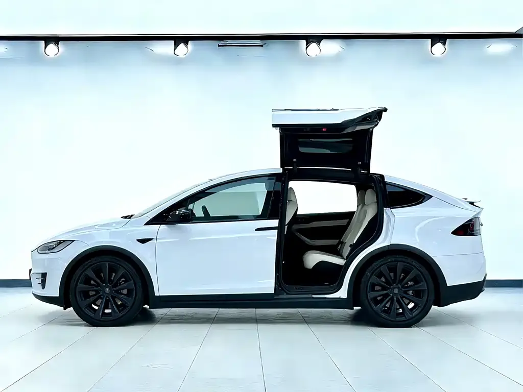 Tesla Model X — фото 7