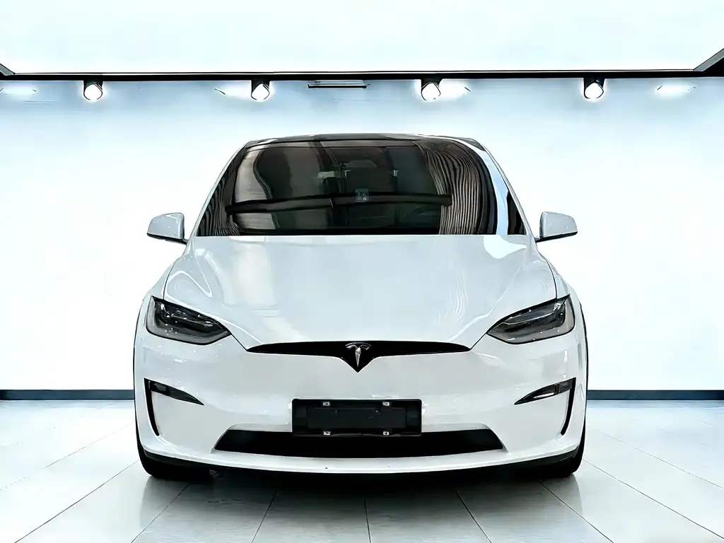 Tesla Model X — фото 6