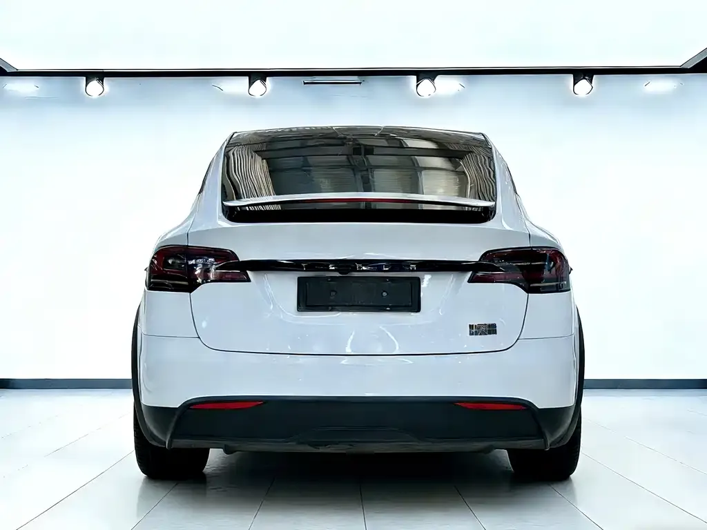 Tesla Model X — фото 4