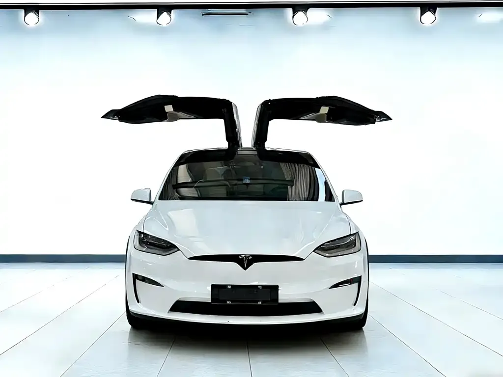 Tesla Model X — фото 2