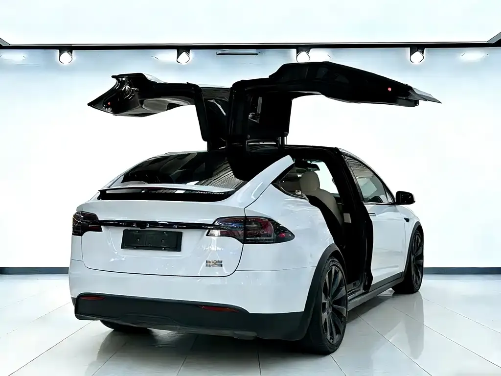 Tesla Model X — фото 10