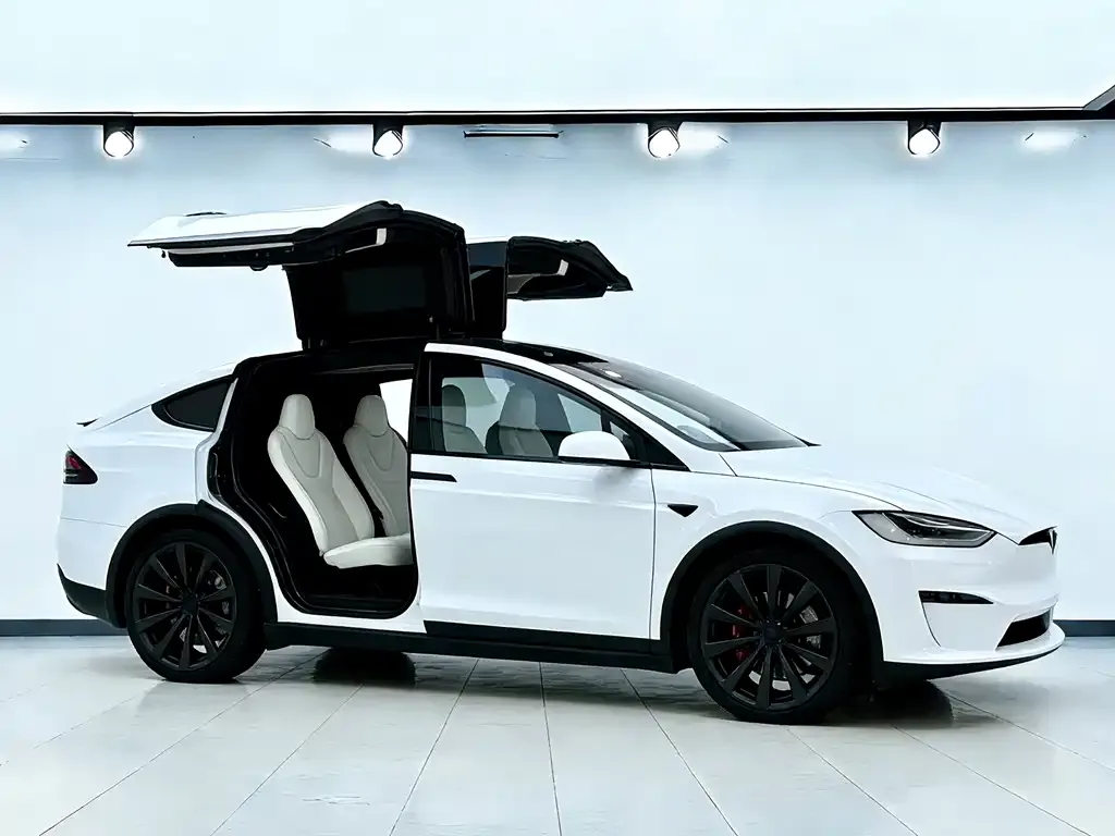 Tesla Model X — фото 8