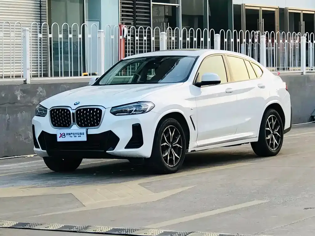 BMW X4 2023 из CN, фото 1