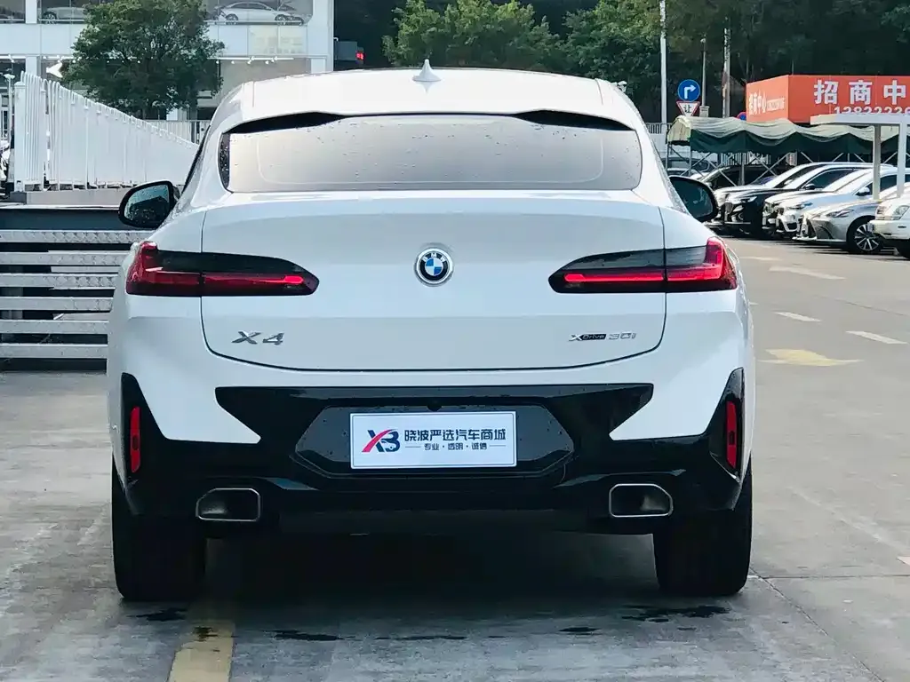 BMW X4 2023 из CN, фото 2