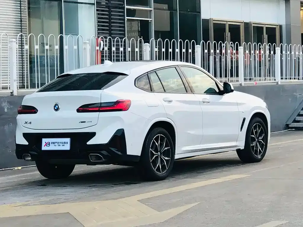 BMW X4 2023 из CN, фото 10