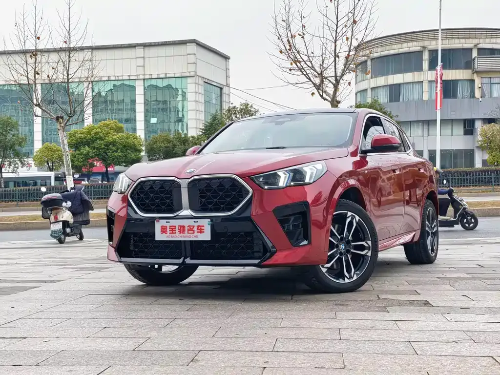 BMW X2 (Import) 2024 из CN, фото 1