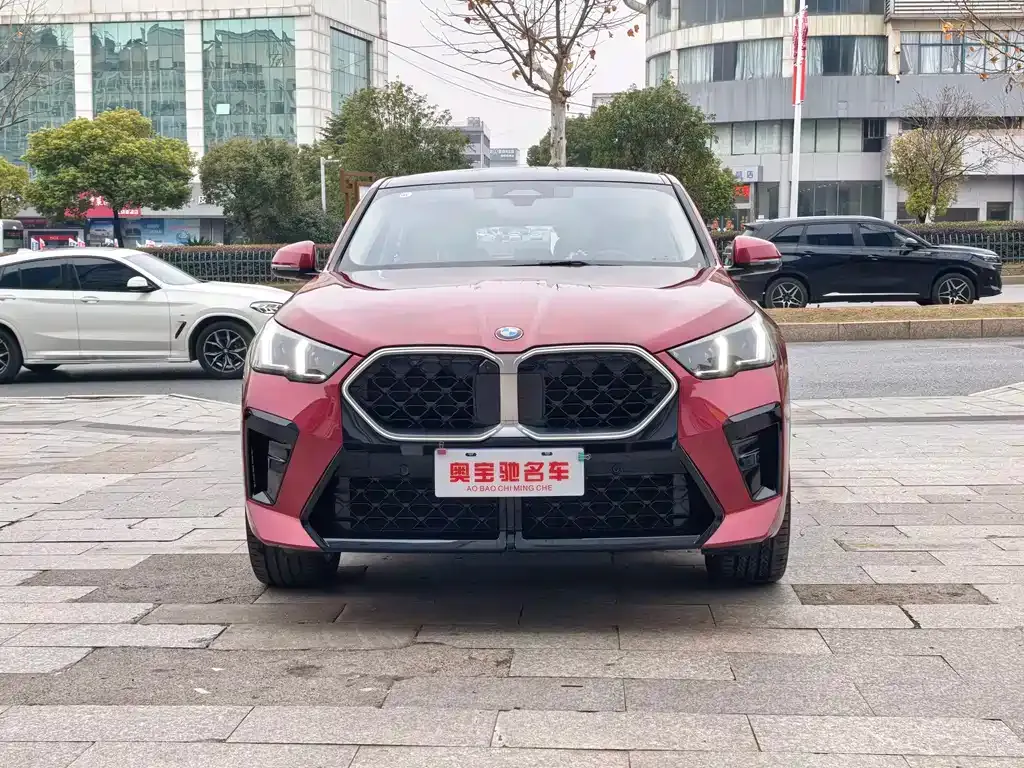 BMW X2 (Import) 2024 из CN, фото 8