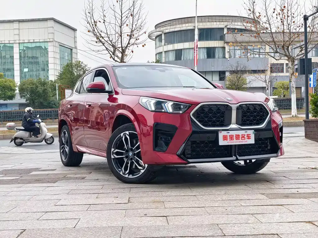 BMW X2 (Import) 2024 из CN, фото 9