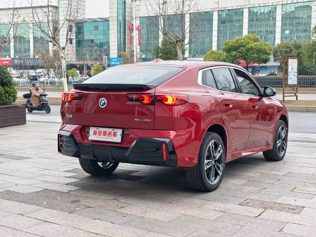BMW X2 (Import) 2024 из CN, фото 5