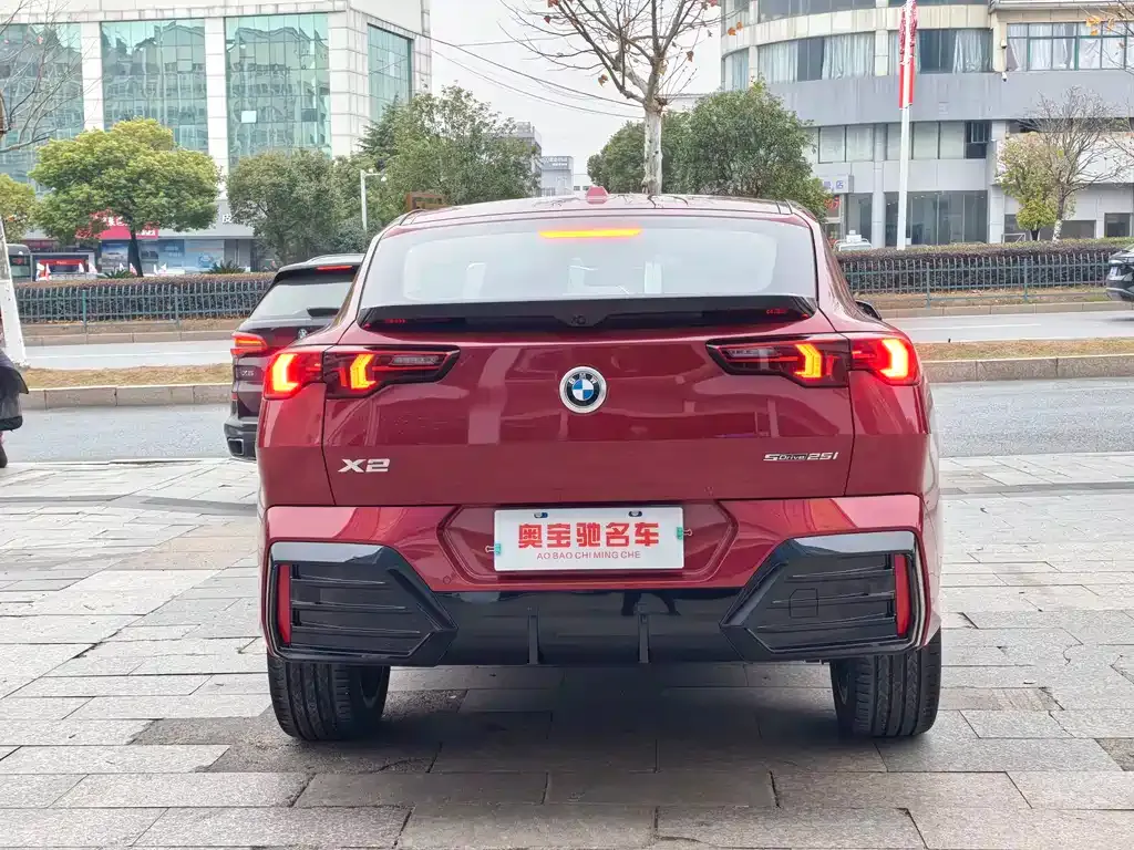 BMW X2 (Import) 2024 из CN, фото 6