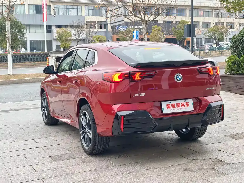 BMW X2 (Import) 2024 из CN, фото 10