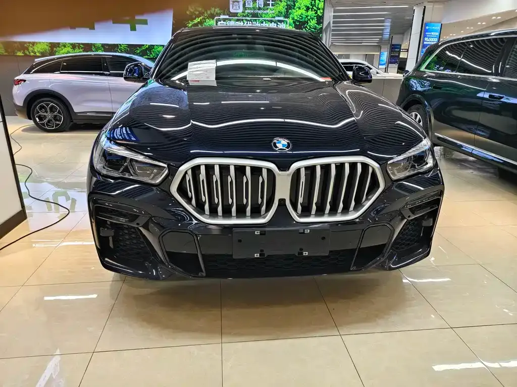 BMW X6 2022 из CN, фото 9