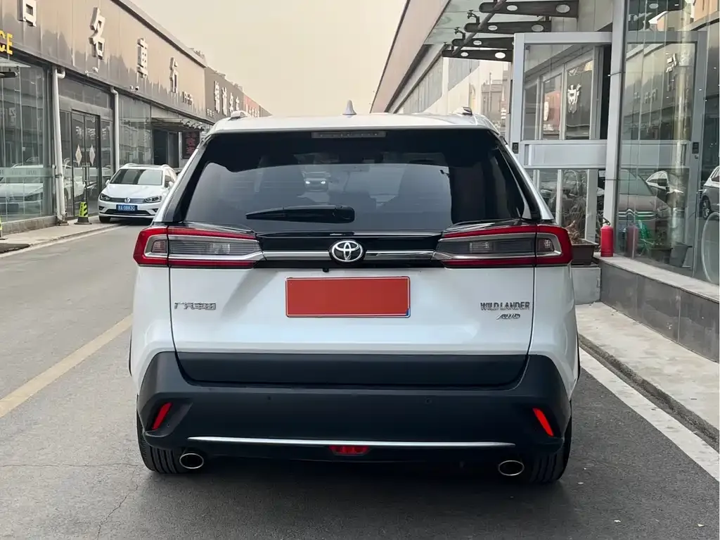 Toyota Wildlander 2023 из CN, фото 10