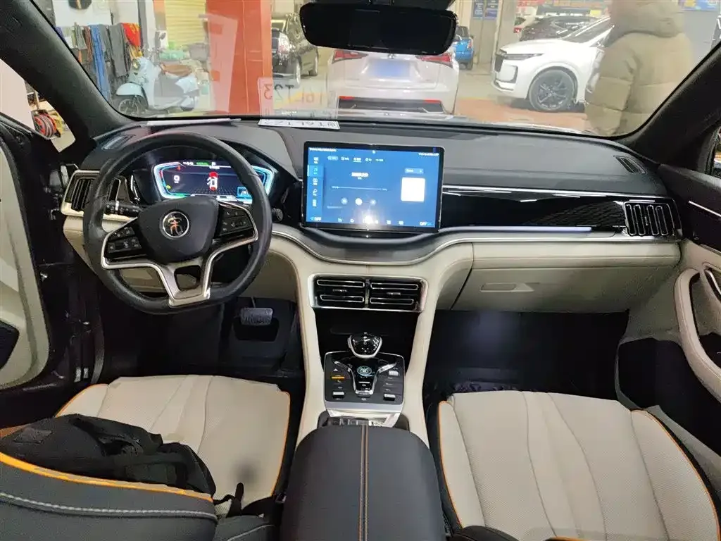 BYD PLUS New Energy 2022 из CN, фото 8