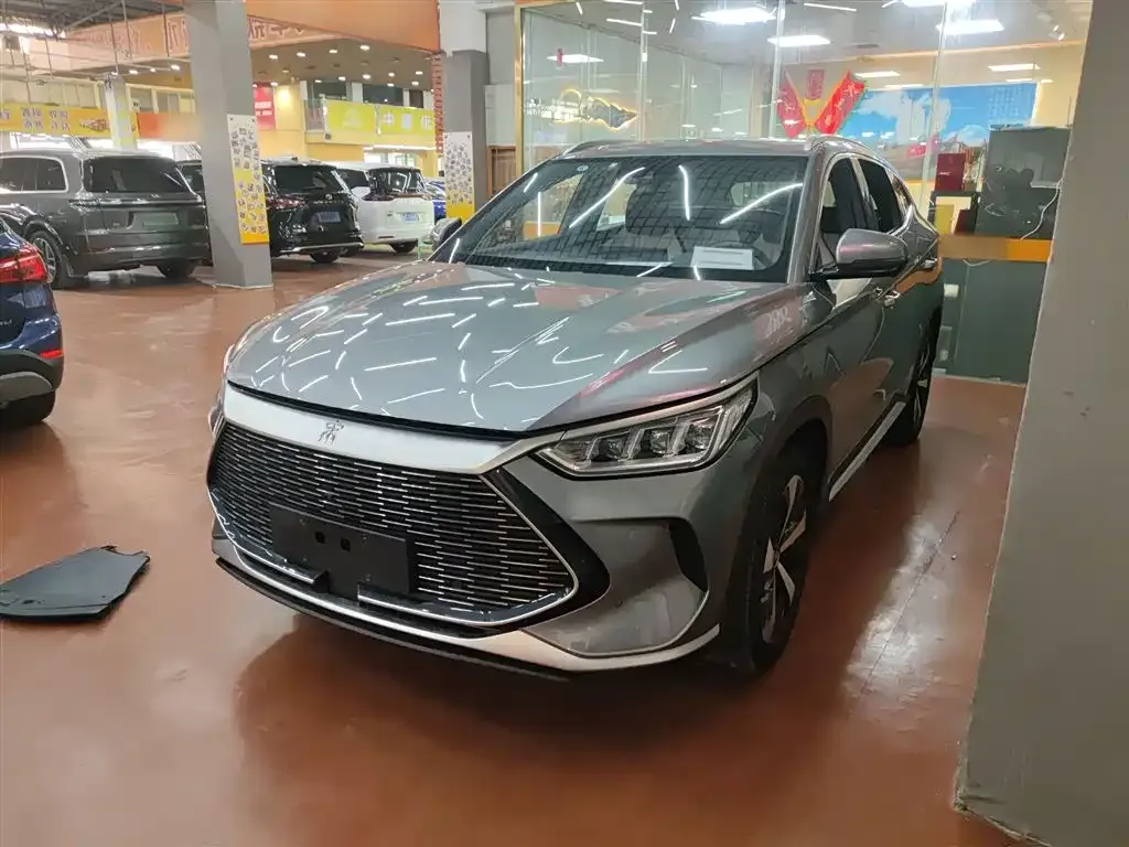 BYD PLUS New Energy 2022 из CN, фото 6