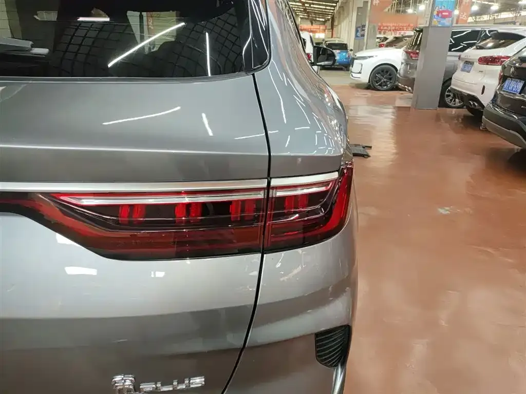 BYD PLUS New Energy 2022 из CN, фото 7