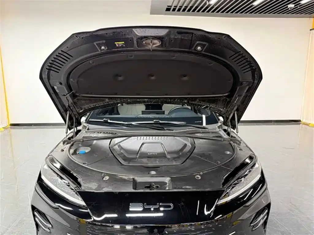 BYD PLUS New Energy 2024 из CN, фото 6