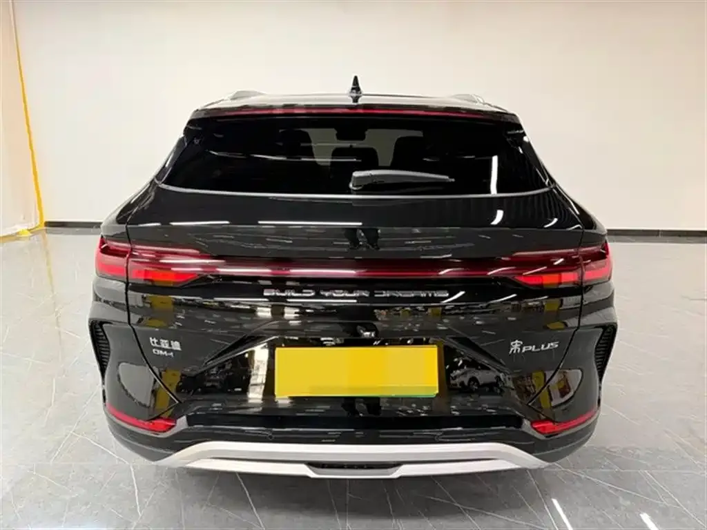 BYD PLUS New Energy 2024 из CN, фото 5