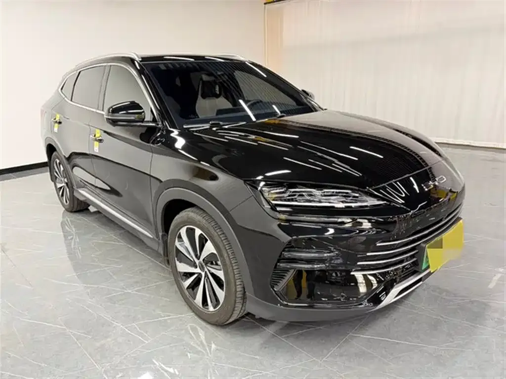 BYD PLUS New Energy 2024 из CN, фото 2