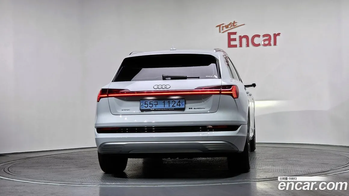 Audi e-tron 2021 из KR, фото 10
