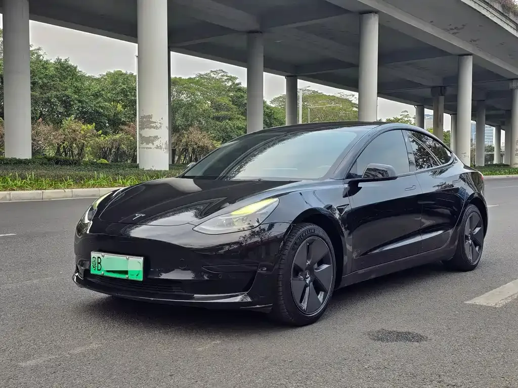 Tesla Model 3 2021 из CN, фото 1