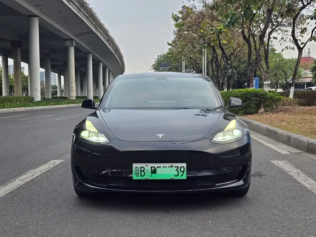 Tesla Model 3 2021 из CN, фото 9
