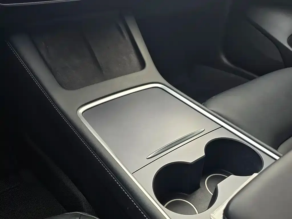Tesla Model 3 2021 из CN, фото 4