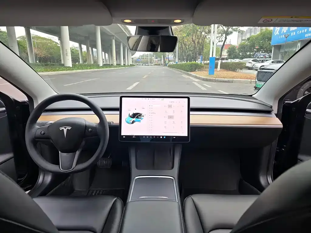 Tesla Model 3 2021 из CN, фото 3