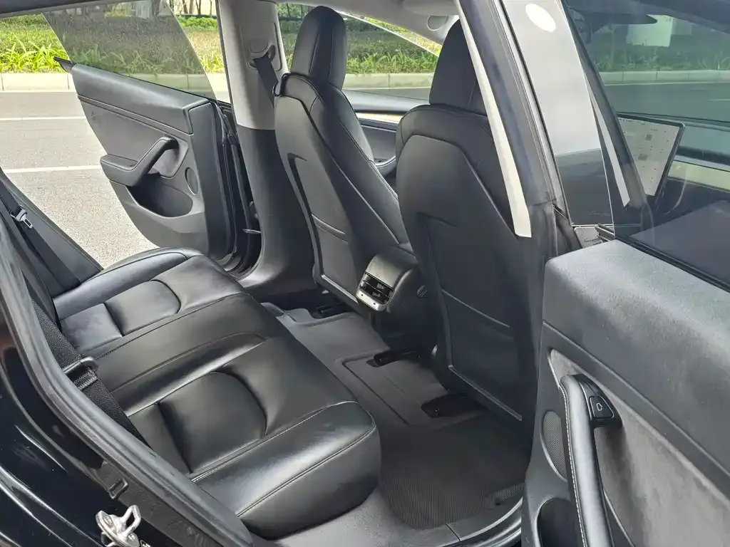 Tesla Model 3 2021 из CN, фото 10