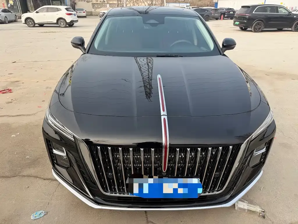 Hongqi H5 2024 из CN, фото 10
