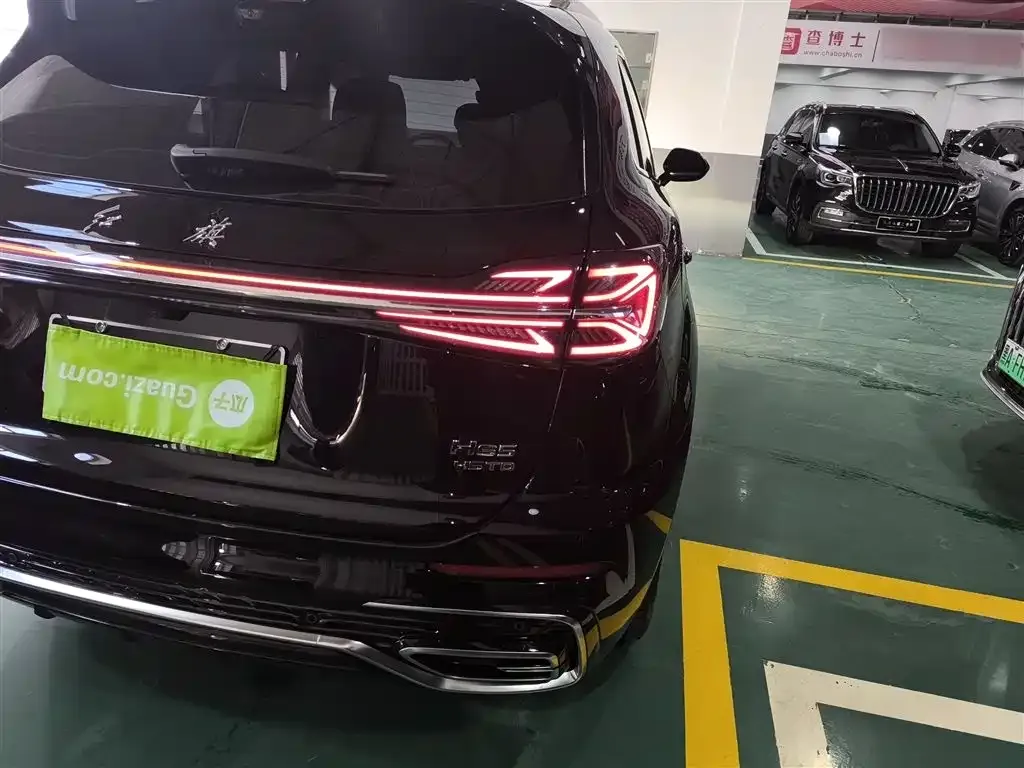 Hongqi HS5 2023 из CN, фото 7