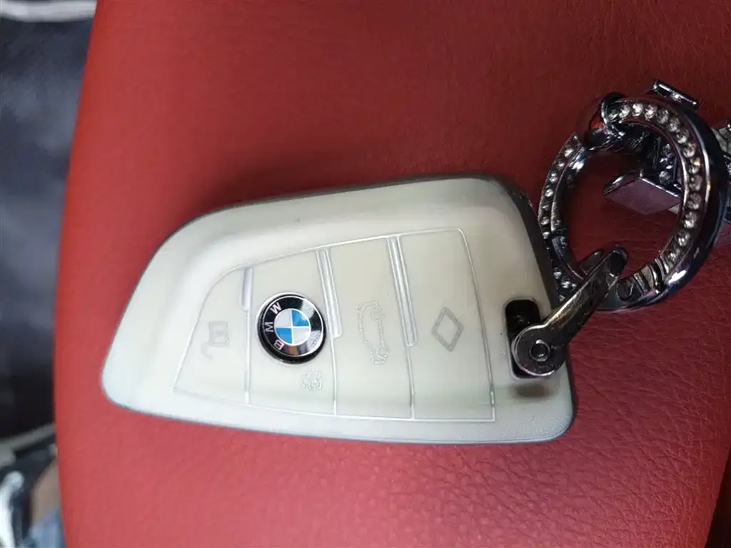 BMW X2 2021 из CN, фото 5