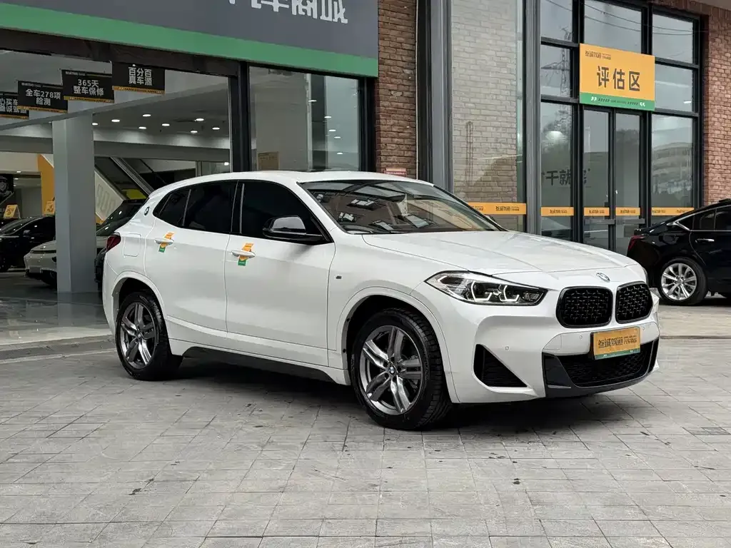 BMW X2 — фото 10