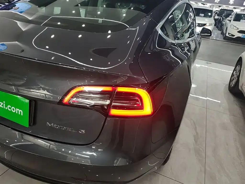 Tesla Model 3 2021 из CN, фото 6