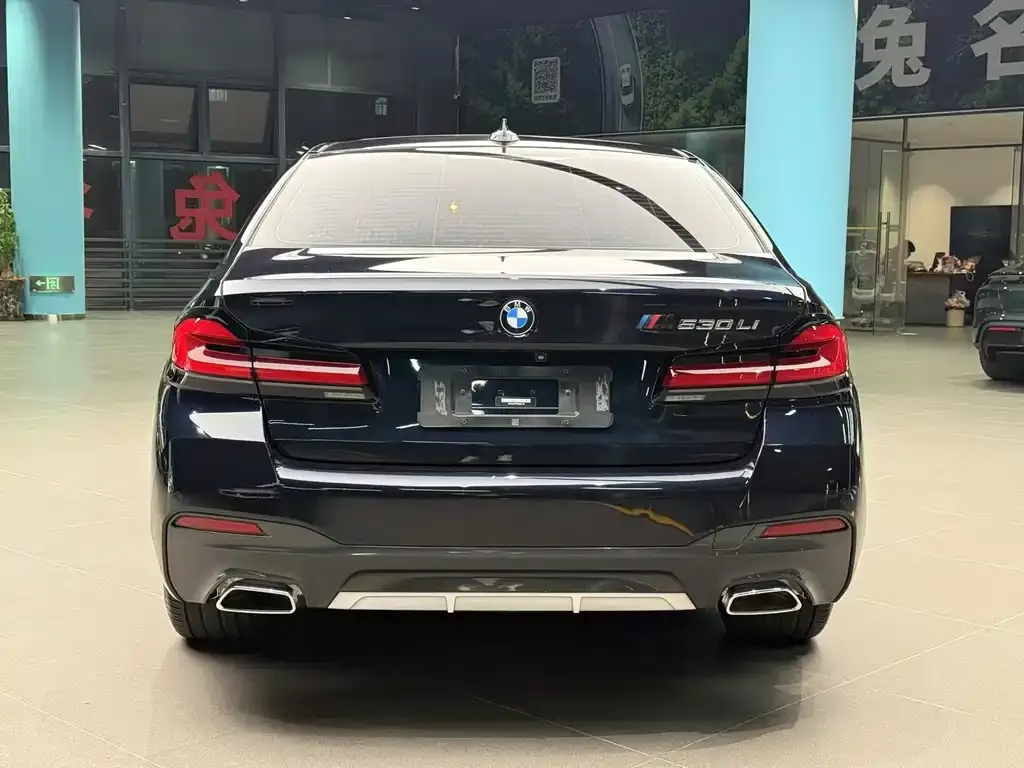 BMW 5 Series 2023 из CN, фото 3
